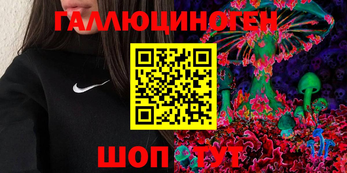 где купить   Вход с VPN  Псилоцибиновые грибы Psilocybe  Ярославль  Псилоцибиновые грибы GOLDEN TEACHER 